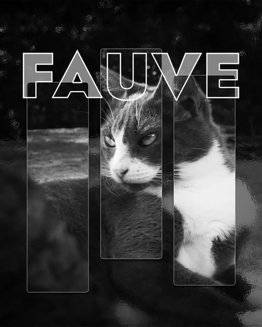 fauve.jpeg
